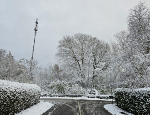 Glatte veje og snefald i grundejerforeningens område