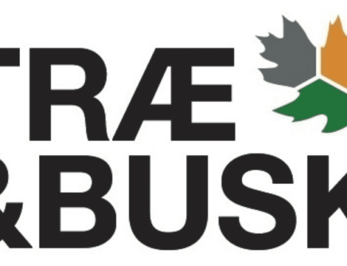 Vedligeholdelse af træer på Mosevænget/Johannesvej